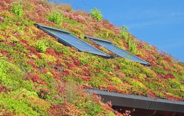 Abernyte living roof systems