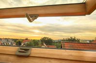 rated Abernyte roof window companies